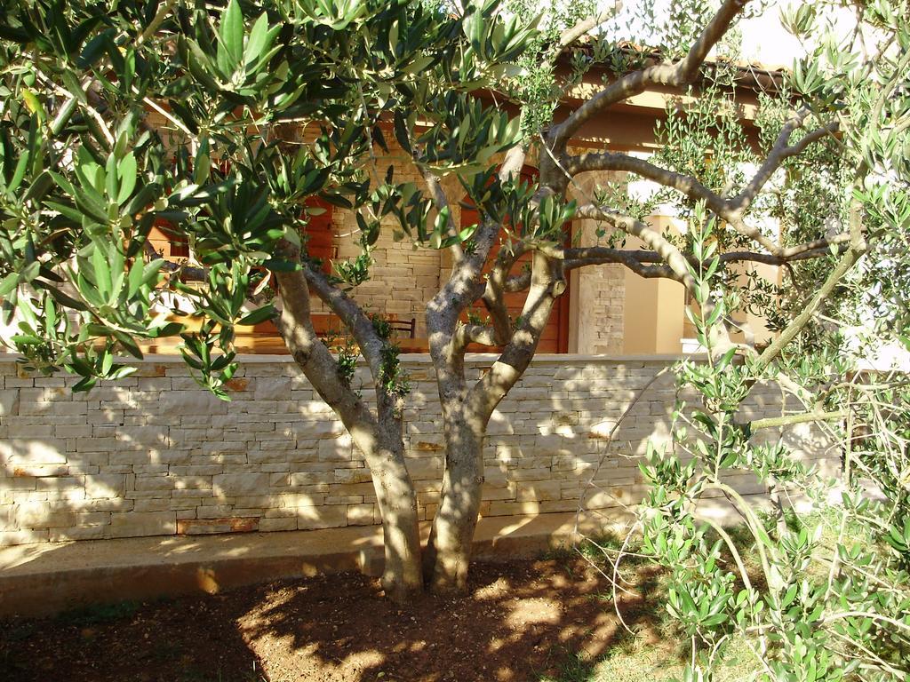 Villa Maria Zara Esterno foto